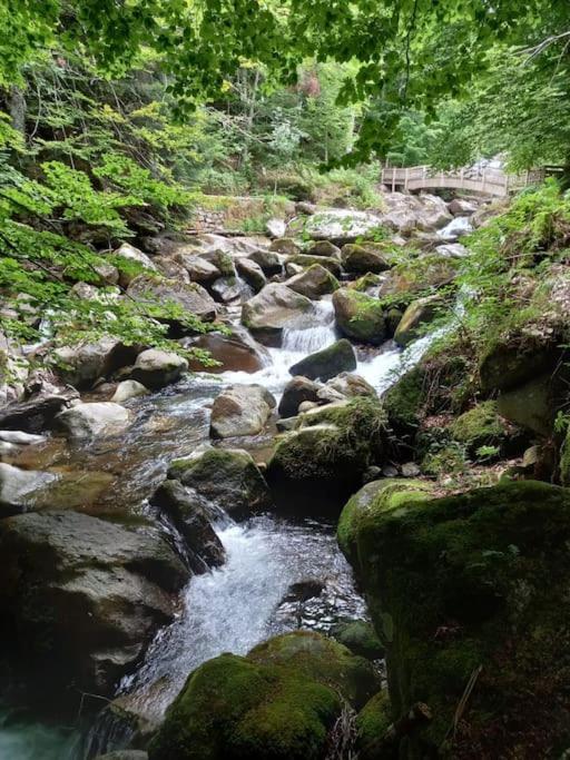 Gite L'Enclos O Rendez-Vous Roquefeuil-Pays De Sault- Avec Jardin Eksteriør bilde