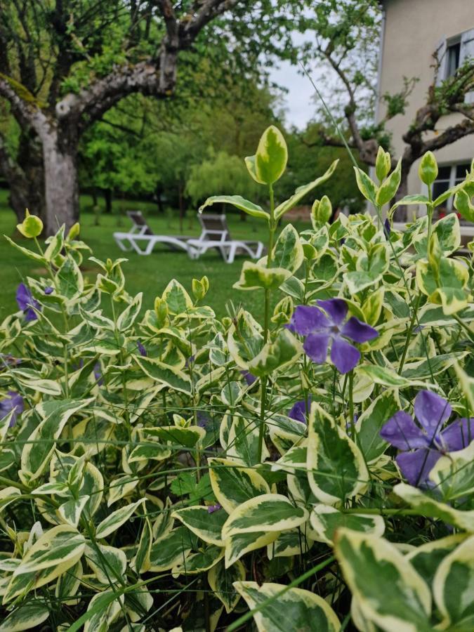 Gite L'Enclos O Rendez-Vous Roquefeuil-Pays De Sault- Avec Jardin Eksteriør bilde